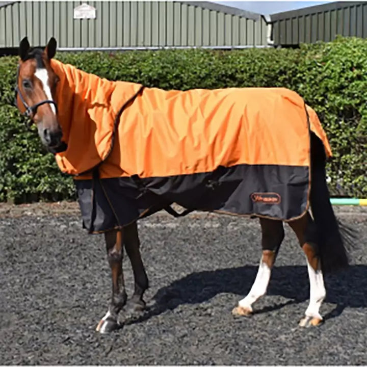 Horse wearing Whitaker Lutton Turnout Rug Combo 
