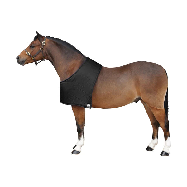 Horse wearing Supreme Poducts Padded Bib