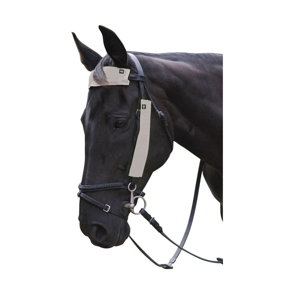 Horse wearing HyVIZ Silva Flash Reflective Bridle Set 