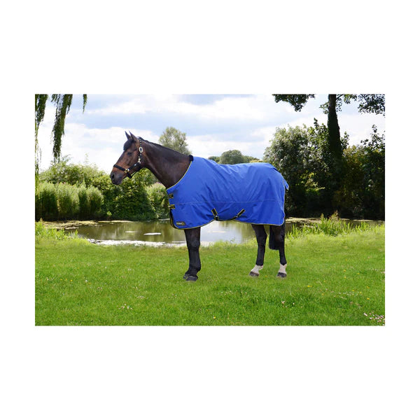 Horse wearing StormX Original 100 Turnout Rug in blue with black and yellow binding.