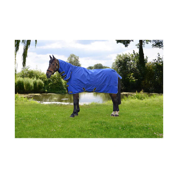 Horse wearing StormX Original 100 Combi Turnout Rug in blue with black and yellow binding.