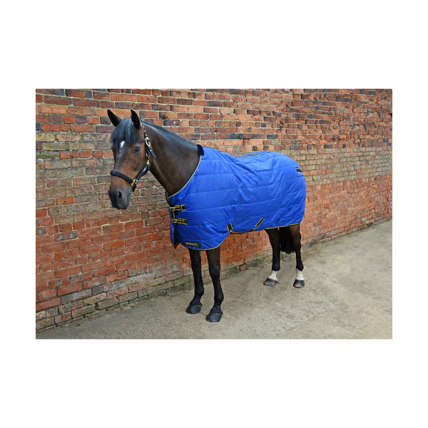 Horse wearing StormX Original 100 Stable Rug in blue with black and yellow binding.