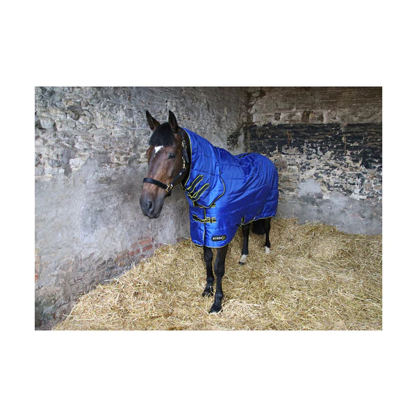 Horse wearing StormX Original 100 Combi Stable Rug in blue with black and yellow binding.
