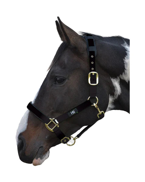 Hy Equestrian Deluxe Padded Head Collar in black