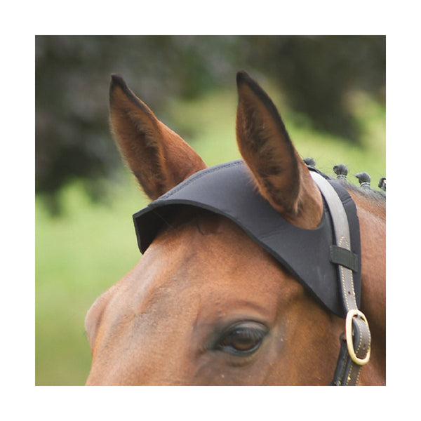 horse wearing Hy Equestrian Poll Guard