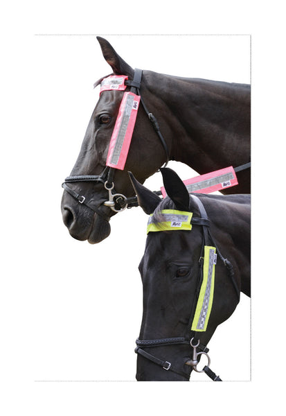 Horses wearing HyVIZ Bridle Set in pink and yellow