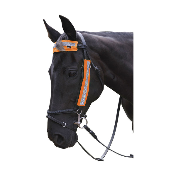Horse wearing HyVIZ Bridle Set in orange