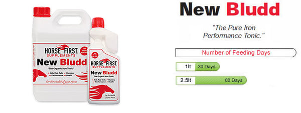 Horse First - New Bludd servings