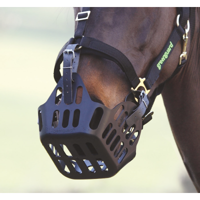 Greenguard Spare Straps