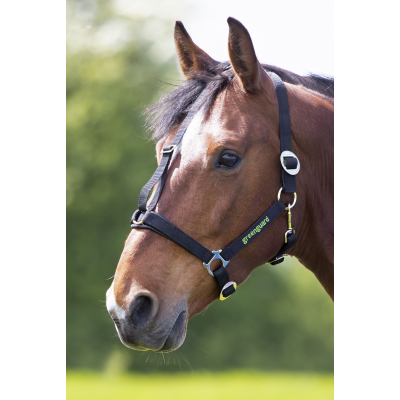 Greenguard Headcollar Duke CoEquestrian